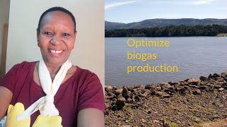 How to optimize Biogas production through proper biodigester feeding