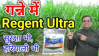 Bayer Regent Ultra | गन्ने में रिजेंट का प्रयोग | Ganne Mai Regent