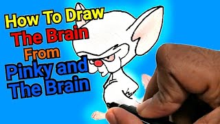 How To Draw The Brain From Pinky And The Brain