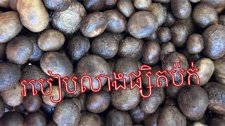 របៀបលាងផ្សិតប៉ក់