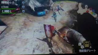 MH4G戦争調子こいとるバルディエルをぶっ殺したった(輝零姫視点)