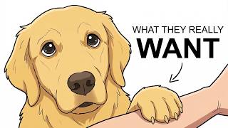 Psychology of Dogs: Why They Put Their Paw on You