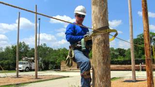 Bucksqueeze Training:  Ascending and Descending Over and Under an obstacle on the Pole