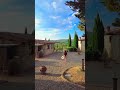 DREAMY airbnb in CHIANTI, Tuscany 🇮🇹 #travel #italy #airbnb #tuscany #chianti #travelvlog #trending