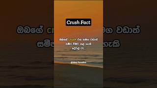 ඔබගේ crush එක ඉක්මනින් කැමති කර ගැනීමට කළ හැකි දේවල් 05..  #sinhalaquotes #srilanka