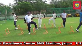 p.s cricket excellence center