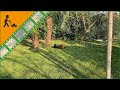 Worx Landroid M WR142E Robot Lawn Mower - Lithium-ion battery - M700 - Customer's operating video