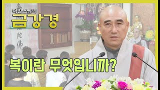 복이란 무엇입니까? [덕일스님의 금강경 50회]