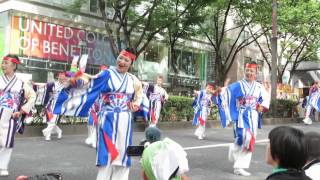 原宿よさこい連（2014スーパーよさこい・表参道アベニュー）