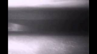 Experimental fish-friendly turbine, clip #1