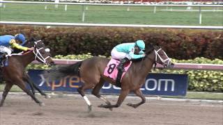Gulfstream Park Replay Show | January 18, 2016