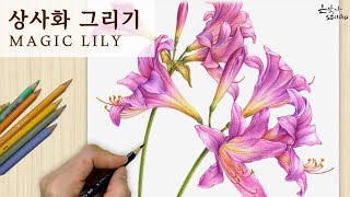 Sad flowers of unfulfilled love | Magic-lily flower drawing | Botanical Art 41-3