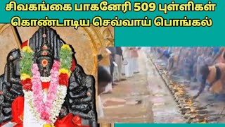 KNOW YOUR NAGARATHAR|சிவகங்கை பாகனேரி ஸ்ரீ புல்வநாயகி அம்மன் 509புள்ளிகள் கொண்டாடிய செவ்வாய் பொங்கல்