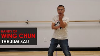 Solo Training Drills:  - Jum Sau PT 1 - Wing Chun, Kung Fu Report - Adam Chan