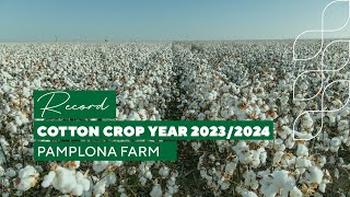 New Record Cotton Crop Year at Pamplona's Farm