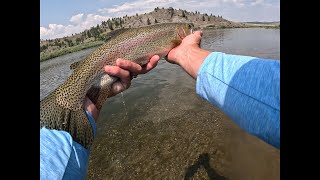 Fly fishing the Missouri River in Craig Montana