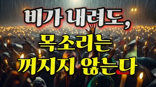 광장에 핀 우산꽃! 빛이 된 이름들 우산꽃 희망 연대 저항 광장