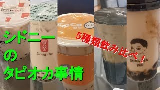 シドニーのタピオカ事情！5種飲み比べ