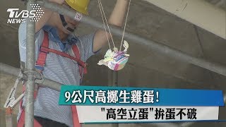 ９公尺高擲生雞蛋！　「高空立蛋」拚蛋不破