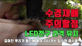 수경재배기 식물LED등 사용방법 주의사항