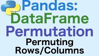 41: Pandas DataFrames: Permutation