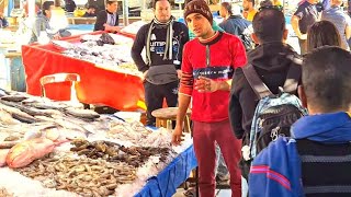 🐟🇪🇬 HURGHADA EGYPT FISH MARKET, 🌞🌴 HURGHADA CITY WALKING TOUR, 🇪🇬 🌊🌴 WINTER IN EGYPT, 4k