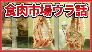 食肉市場ウラ話！A５の中にもランクがあった！《雑学編》常識が変わる！知ってるつもりで意外と知らないお肉の世界！ 肉肉チャンネル～おもいのフライパン公式