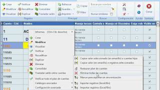 Sistema contable ContaPyme - Eliminación de todas las cuentas