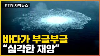 [자막뉴스] 당장 손쓸 수도 없다...노르트스트림 해저 상황 / YTN