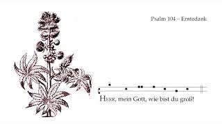 Psalm 104 – Wochenpsalm Erntedankfest