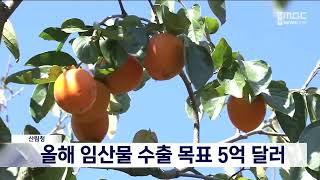 산림청, 올해 임산물 수출 목표 5억 달러 20240222