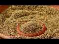 અજમા ના ફાયદાઓ અજવાઈન ના ફાયદાઓ health benefits of ajwain ajmo khava na fayda