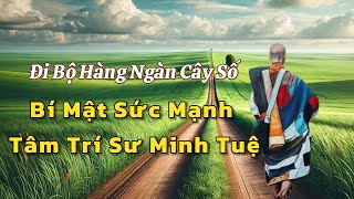 BÍ MẬT SỨC MẠNH TÂM TRÍ CỦA SƯ MINH TUỆ QUA HÀNH TRÌNH ĐI BỘ || LỜI PHẬT DẠY