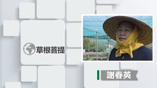 【草根菩提】20191202 - 活出美好