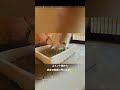 【閲覧注意】うんちに苦しむ猫。 猫動画 cats bathroom