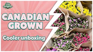 JFTV: Canadian-Grown Flowers Cooler Unboxing with Casey \u0026 Carlos - Oct. 2022