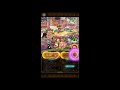 optc sakazuki v2 vs colosseum rayleigh 赤犬v2 vs 競技場雷利