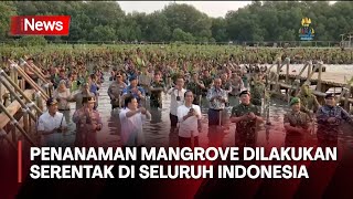 Presiden Jokowi Hadiri Hari Puncak Penanaman Mangrove