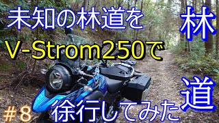 未知の林道をVストローム250で探検。ほぼノーカットの初心者による徐行動画です。