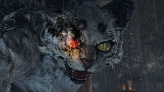 [豆腐老媽] PS4 仁王(Nioh) 白虎 首次攻略