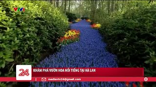 Keukenhof vườn hoa lớn nhất thế giới giảm du khách để nâng cao trải nghiệm | VTV24