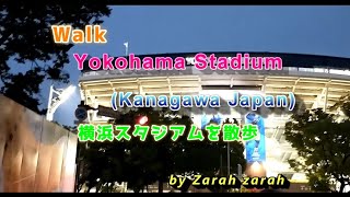 野菜を食べよう (sanpo) Walk Yokohama Stadium (Kanagawa Japan)