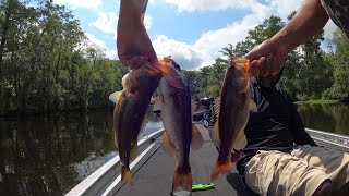 Friendly 1V1 Summer River Bass Fishing