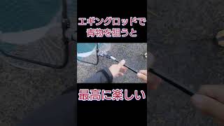 【ショアジギング】エギングロッドで青物を狙うと最高に楽しい! #北九州釣り #釣り #fishing