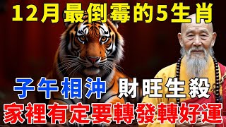 12月最倒霉的5生肖，子午相沖，財旺生殺，家裡有一位要小心了，請轉發轉好運！【禪語明心】#生肖 #運勢 #風水 #財運  #生肖運勢 #生肖運程 #運勢 #佛教