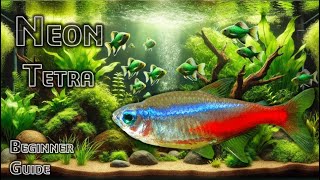 Neon Tetra Beginners Quide Care Breeding Feeding Diseases Temperament