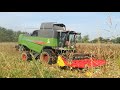 pure sound fendt 5525 c capello quasar r8