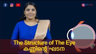 THE STRUCTURE OF THE EYE | കണ്ണിന്റെ ഘടന | 10TH #BIOLOGY |  #SCERT | WINZAP