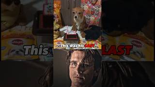 Dog Sad Moments LAST BIRTHDAY ❤️🩹