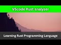 Customize VSCode Rust analyzer | editorInlayHint | Rust Language